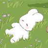 rawih965