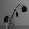 _urllovegirl_4