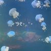 bluebyees_d