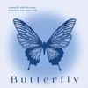 butterfly91855