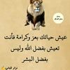 a__4111___a