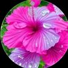 user211378000