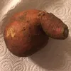 bara_scam