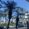rileythomas02090