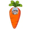 carot.baby20_06