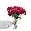 sf.rafi96