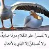 user2062167614185