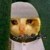 user5728639047202