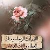 user4198384811319