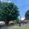 gendissukayappingg