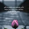 user6873355443574