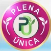 Plena única oficial