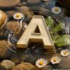 muhammad.anees139