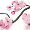 pucca5821