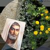 fatmia2193