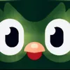 fogbebi