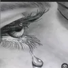 dz_zm23