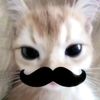 zhak_boy01