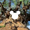 wdwwithkatiee