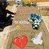 danielhererra13141516