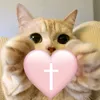 www.tiktok.com.alanna