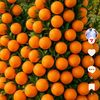 ffff_5671