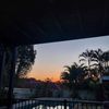 siennas_main87393