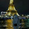 user73870208670817