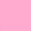 _pani28