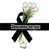 maritza.lopez380