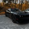 babyscat392