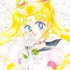 nice_sailormoon_stan