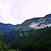 mashwani980