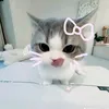 daomanh249