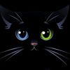 stylish_sa.1