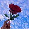 🤍نور السلامي 🥰