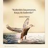 betlzdemir06