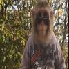jordnpg