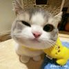 khaliyana_14