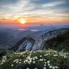 naturevally0