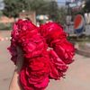 isamail_kan234
