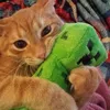 pedrin_69801