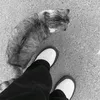 z__4lli
