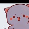 no.soy.gatito