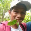 bulan7646