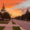 moh._401