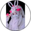 user85452501906361