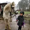 mommmmoooo777