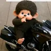 paco.66666l