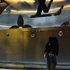 iamsx0